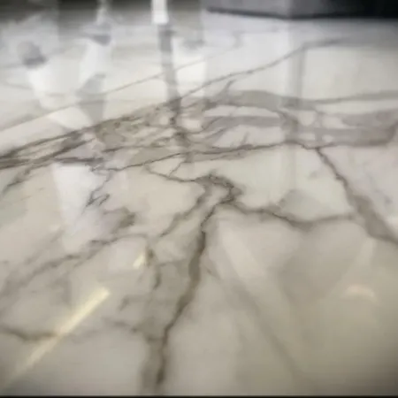 Apartment Palace Porta Argentea Luxury *